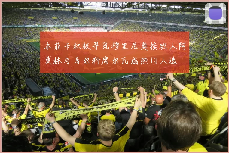 本菲卡积极寻觅穆里尼奥接班人阿莫林与马尔科席尔瓦成热门人选